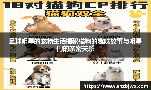 足球明星的宠物生活揭秘猫狗的趣味故事与明星们的亲密关系